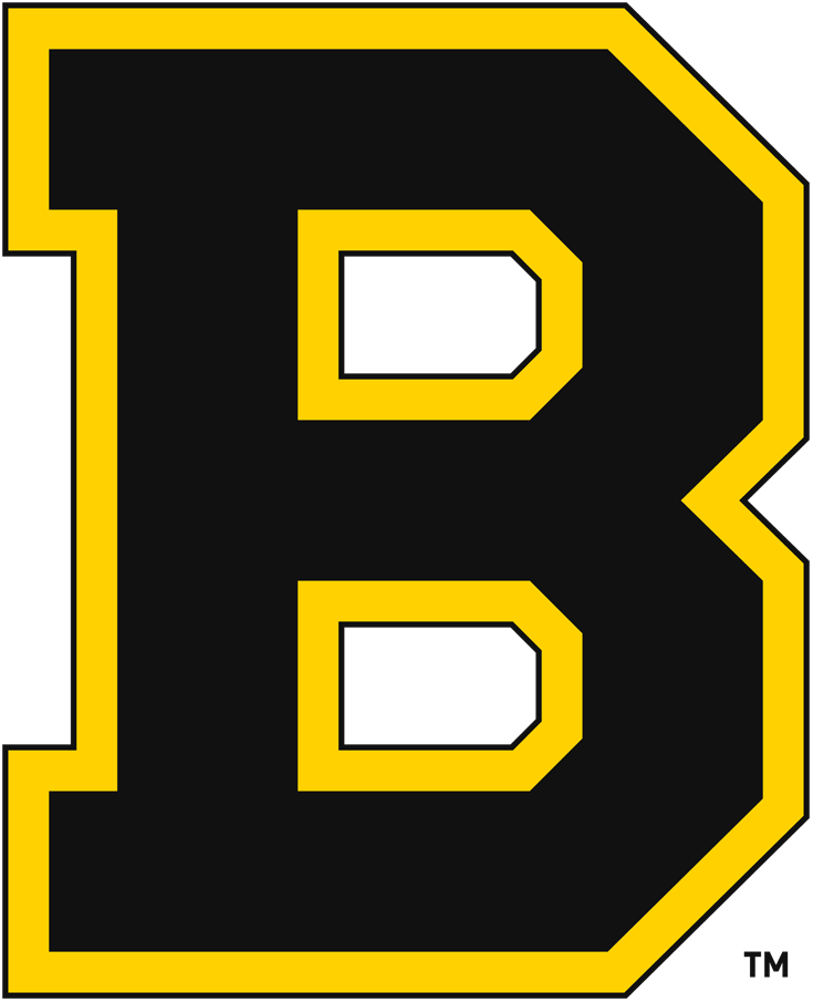 Boston Bruins 1934-1949 Primary Logo fabric transfer